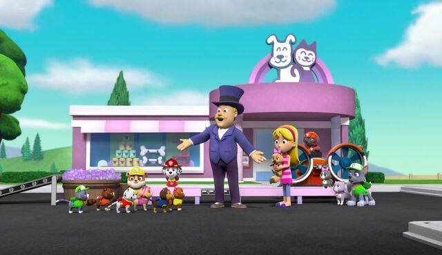 File:The Cat Show 6.jpg