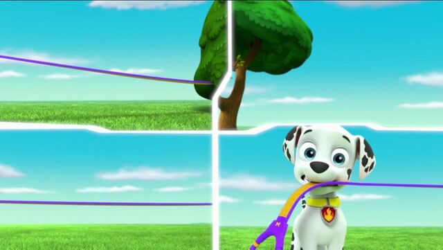 File:PAW Patrol Pups Save a Goldrush Scene 7.jpg