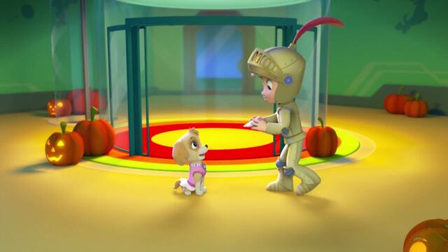 File:PAW.Patrol.S01E12.Pups.and.the.Ghost.Pirate.720p.WEBRip.x264.AAC 48348.jpg