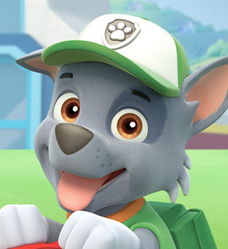 Image - Character large-rocky.jpg | PAW Patrol Wiki | FANDOM powered by Wikia