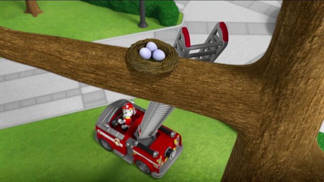 File:PAW Patrol Pups Save the Songbirds Scene 19.jpg