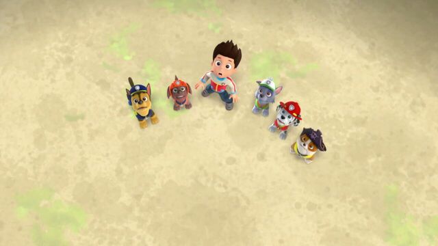 File:PAW.Patrol.S01E26.Pups.and.the.Pirate.Treasure.720p.WEBRip.x264.AAC 796129.jpg