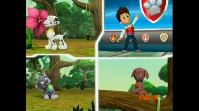 File:Pp1308.png