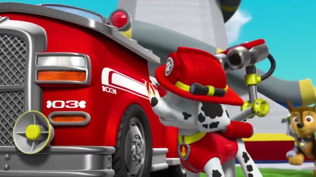 File:PAW Patrol Season 2 Episode 10 Pups Save a Talent Show - Pups Save the Corn Roast 209910.jpg