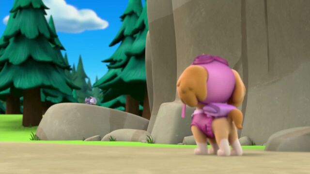 File:PAW.Patrol.S01E26.Pups.and.the.Pirate.Treasure.720p.WEBRip.x264.AAC 707173.jpg