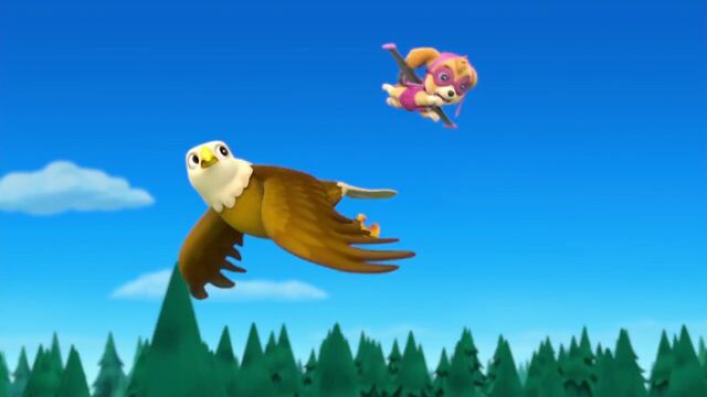 File:PAW.Patrol.S01E26.Pups.and.the.Pirate.Treasure.720p.WEBRip.x264.AAC 742141.jpg