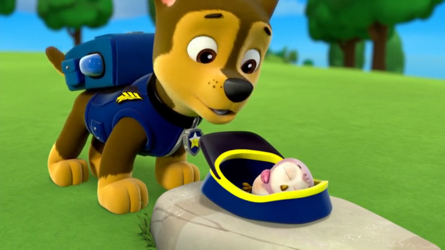 File:Hoot (Chase like awww).png