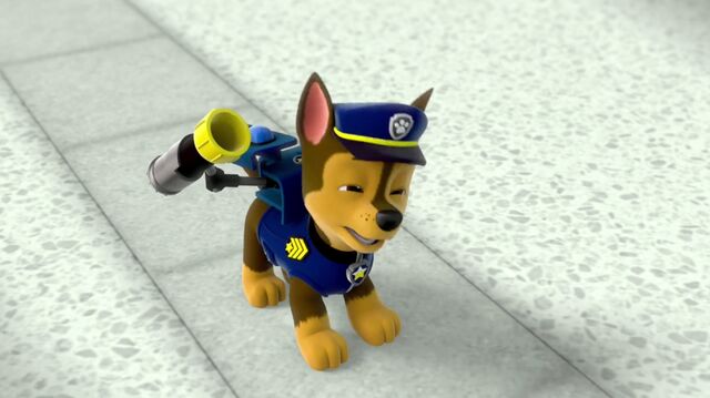 File:PAW.Patrol 8976 (4).jpg