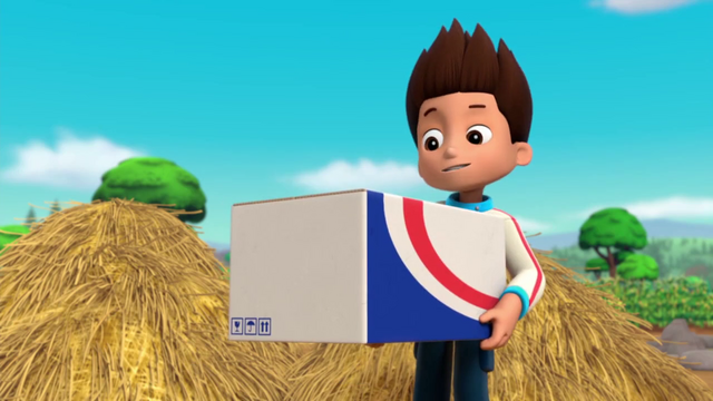 File:Ryder-Fireworks 15.png