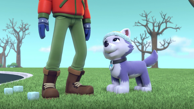 File:Screenshot 2016-12-28-20-43-06.png