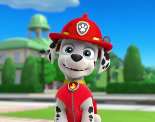 File:Vlcsnap-2014-05-26-20h09m18s241.png