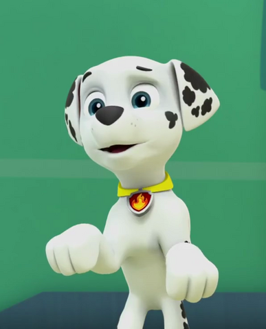 File:Vlcsnap-2017-05-30-05h43m30s6801.png