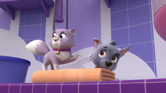 File:PAW.Patrol.S01E15.Pups.Make.a.Splash.-.Pups.Fall.Festival.720p.WEBRip.x264.AAC 117217.jpg