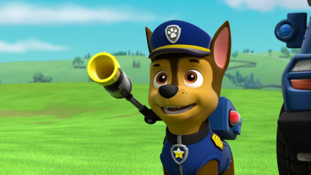 File:Pp811.png