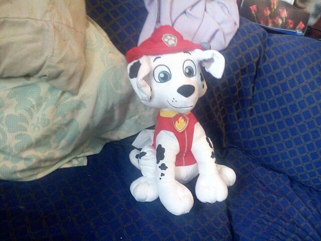 File:Sitting marshall.jpg