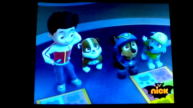 File:Pp1000.png