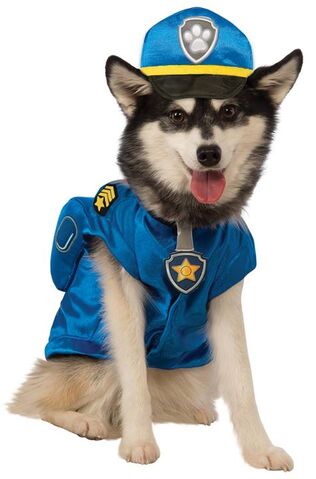 File:Pet costume- chase.jpg