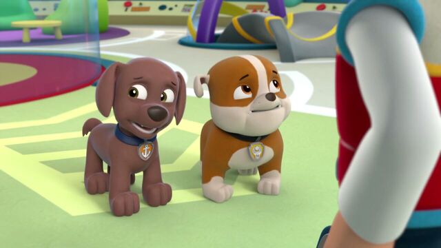 File:PAW.Patrol.S01E16.Pups.Save.Christmas.720p.WEBRip.x264.AAC 244311.jpg