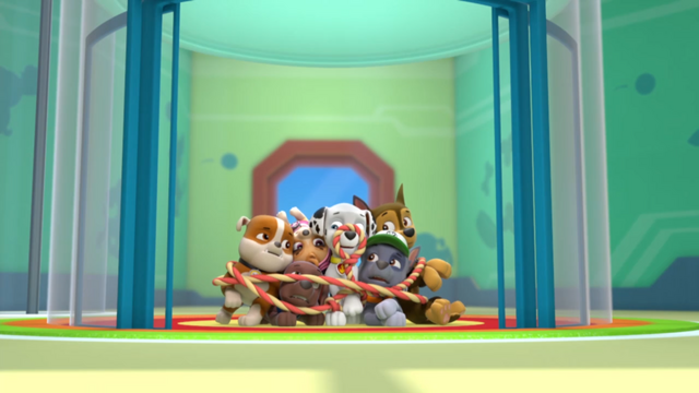 File:Pp109.png