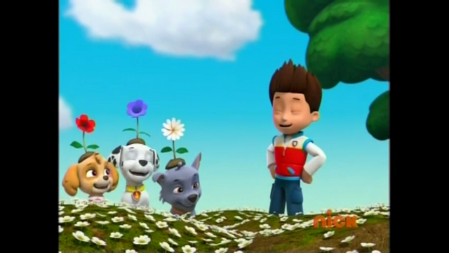 File:Pp2509.png