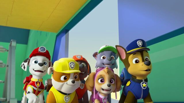 File:PAW.Patrol.S02E07.The.New.Pup.720p.WEBRip.x264.AAC 170771.jpg