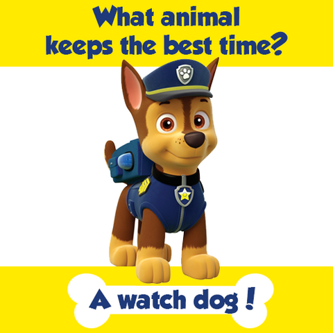 File:1471739 546867165426779 983503563 n.png