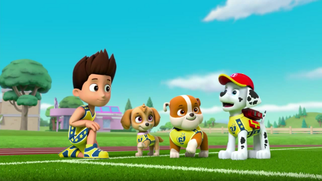 File:Pups Soccer 36.png