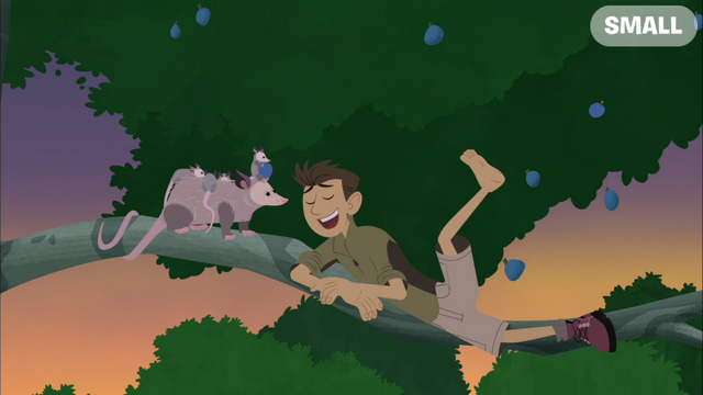 File:Wk267.png
