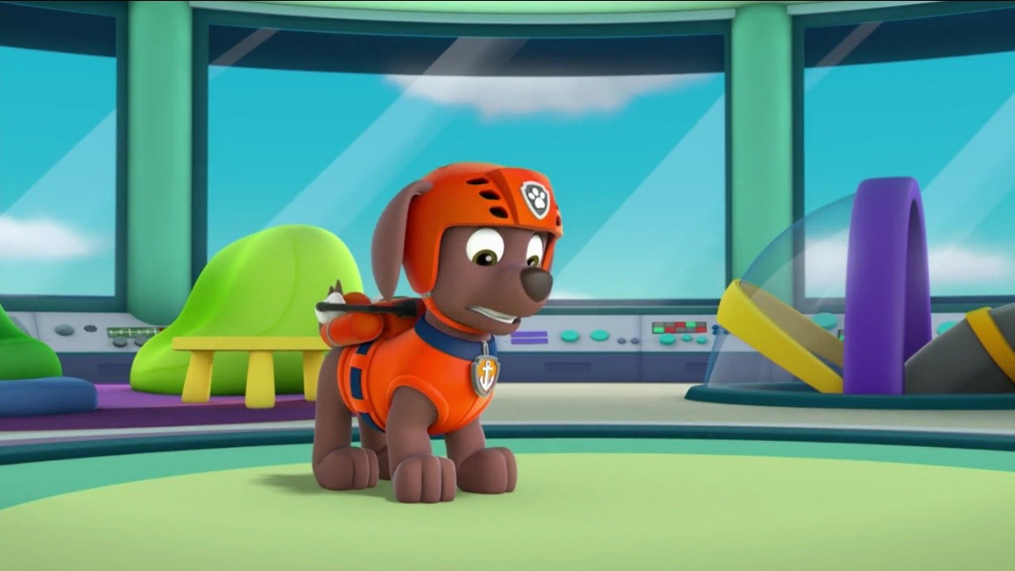 Paw Patrol Зума
