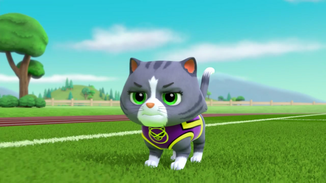 File:Pups Soccer 43.png
