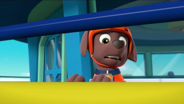 File:PAW Patrol Pups Save the Hippos Scene 17.jpg