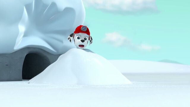 File:PAW.Patrol.S02E07.The.New.Pup.720p.WEBRip.x264.AAC 806806.jpg
