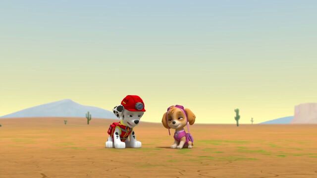 File:PAW.Patrol.S02E07.The.New.Pup.720p.WEBRip.x264.AAC 65566.jpg