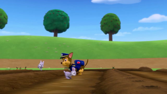 File:Screenshot 2016-12-17-22-20-32.png