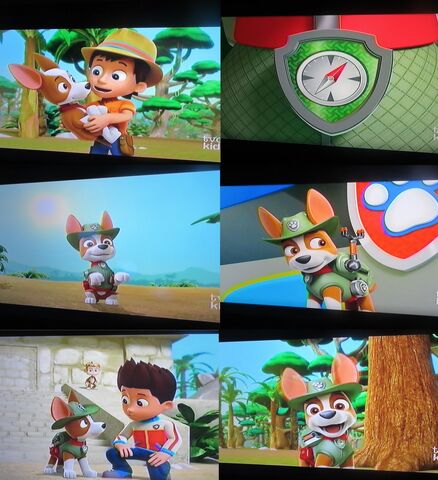File:TJTP collage.jpg