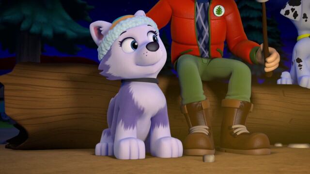 File:PAW.Patrol.S02E07.The.New.Pup.720p.WEBRip.x264.AAC 1289321.jpg