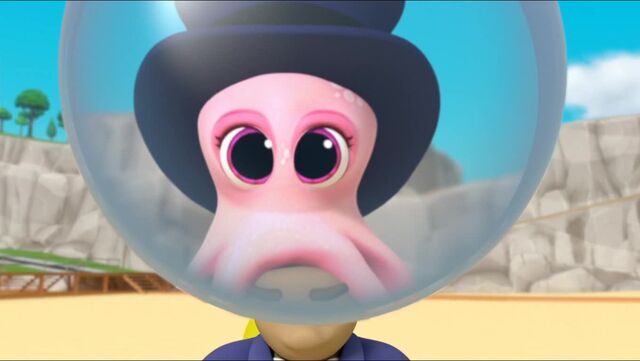 File:Baby Octopus 97.jpg