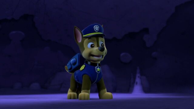 File:PAW.Patrol.S01E26.Pups.and.the.Pirate.Treasure.720p.WEBRip.x264.AAC 440607.jpg