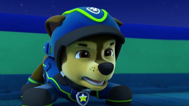 Plik:PAW.Patrol.S02E02.Pups.Save.the.Penguins.-.Pups.Save.a.Dolphin.Pup.720p.WEBRip.x264.AAC.mp4 000504537.jpg