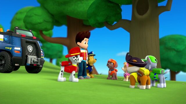 File:PAW.Patrol.S01E26.Pups.and.the.Pirate.Treasure.720p.WEBRip.x264.AAC 917683.jpg