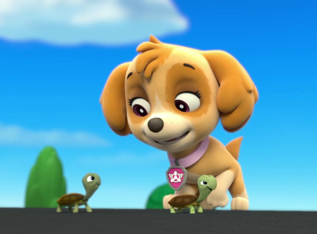 File:Vlcsnap-2014-06-08-10h41m20s25.png