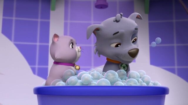 File:PAW.Patrol.S01E15.Pups.Make.a.Splash.-.Pups.Fall.Festival.720p.WEBRip.x264.AAC 692725.jpg
