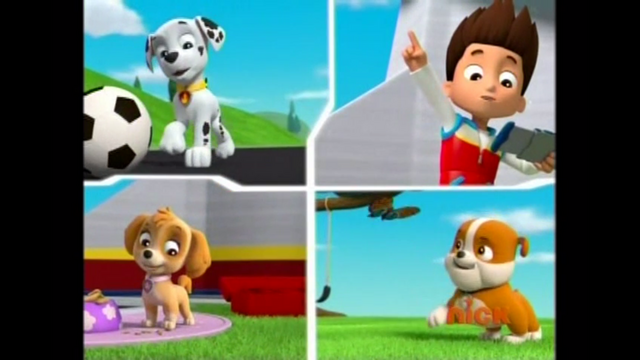 File:Pp611.png