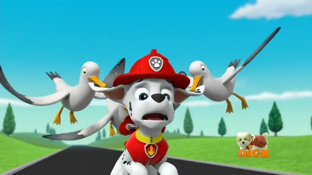 File:You can Fly, Marshall!.png