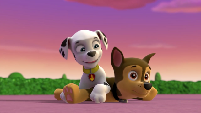 File:Screenshot 2016-12-20-12-19-52.png