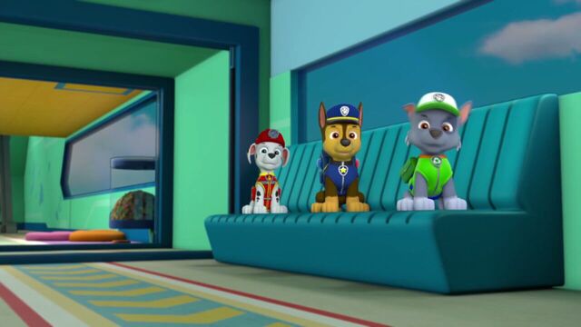 File:PAW.Patrol.S02E07.The.New.Pup.720p.WEBRip.x264.AAC 899098.jpg
