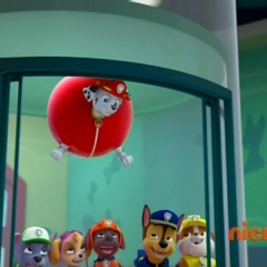 Rubble/Gallery/Pups Save the Parade | PAW Patrol Wiki | FANDOM powered by Wikia