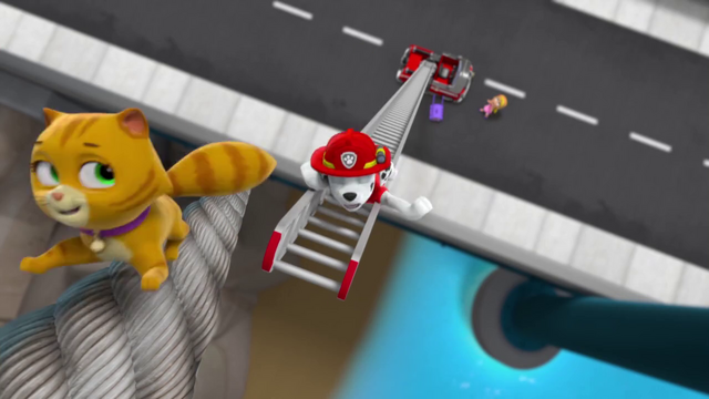 File:Pbro2.png
