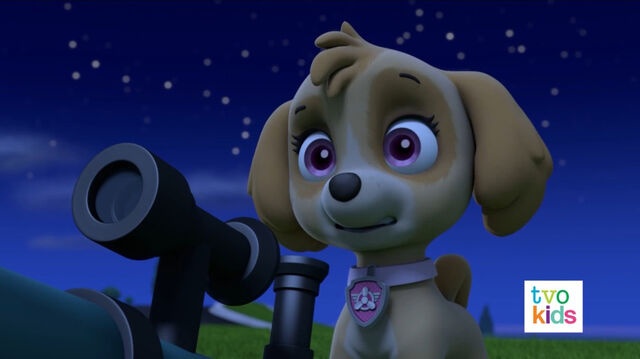 File:PAW Patrol 319B Scene 6 Skye.jpg