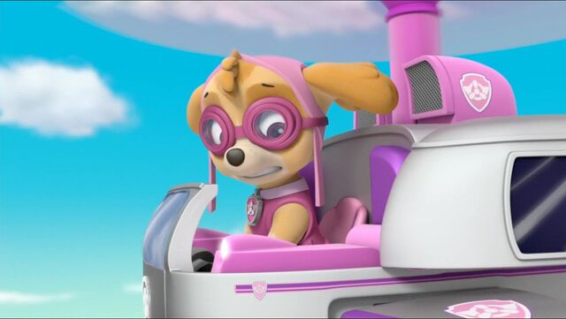 File:All Star Pups! 26.jpg